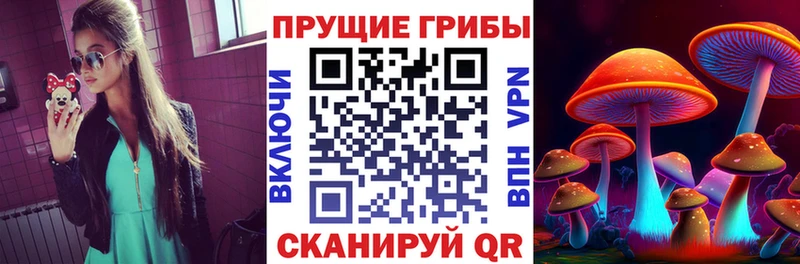 Псилоцибиновые грибы Psilocybe  Иланский 